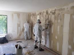 Best Forensic Mold Investigation  in Lake Winnebago, MO